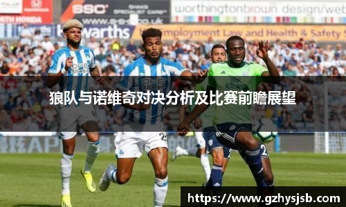 狼队与诺维奇对决分析及比赛前瞻展望